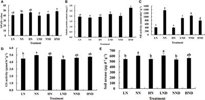 Integrated 16S and metabolomics revealed the mechanism of drought resistance and nitrogen uptake in rice at the heading stage under different nitrogen levels